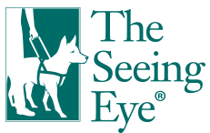 The Seeing Eye with a dog in harness Guiding someone who is blind