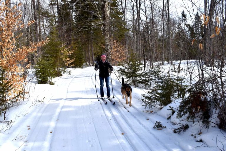 The author skiing with her dog, Quan
